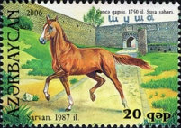 [Garabagh Horses, type VN]