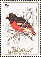 [Birds, type LE]