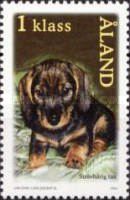 [Dogs - Puppies, type GI]