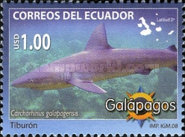 [Fauna of Galapagos Islands, type DKU]
