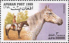 [Horses, type ATT]
