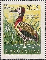 [Child Welfare - Birds, type ABD]