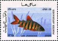 [Marine Life - Fish, type AFB]
