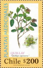 [Medicinal Plants, type BLK]