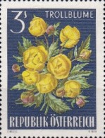 [Alpine Flora, type ACJ]