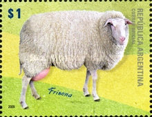 [Sheep in Argentina, type DJK]