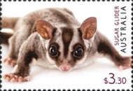 [Australian Fauna, type ESN]
