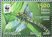 [WWF - Dragonfly the Green Snaketail, type ACQ]