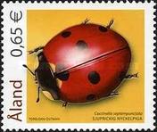 [Insects - Beetles, type IT]