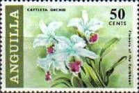 [Flowers of the Lesser Antilles, type AT]
