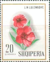 [Flowers, type AEQ]