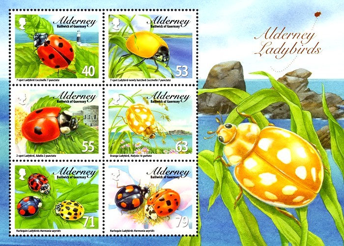 [Fauna - Ladybirds, type ]