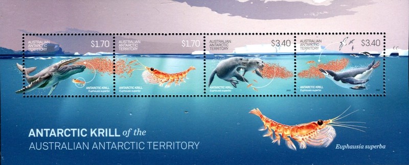 [Antarctic Krill (Euphausia superba), type ]