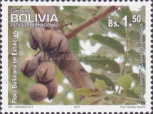 [Flora - Endangered Species, type BSF]
