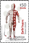 [Indigenous People - Selk'nam, type CIU]