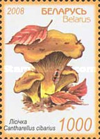 [Mushrooms, type YO]
