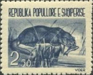 [Domestic Animals, type IK]