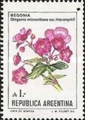 [Flowers of Argentina, type BDY]