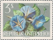 [Vienna International Horticultural Show, type ZY]