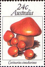 [Mushrooms, type WA]