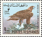 [Fauna - Birds, type PY]