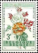 [Gent Flower Festival, type XS]