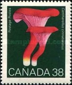 [Mushrooms, type ANN]