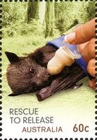 [Wildlife Caring - Rescue to Release, type DLE]