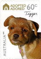 [Adopted and Adored (Dogs) - Self-Adhesive, type DJY1]