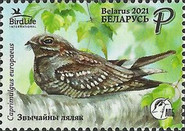 [Bird of the Year - The European Nightjar, type BCV]