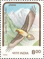 [Birds of Prey, type ATC]