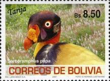 [Birds of Bolivia - Tarija, type BIF]