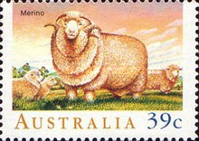 [Sheeps, type ALR]