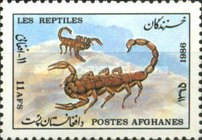 [Fauna, type AFT]