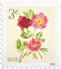 [Flowers, type JAU]