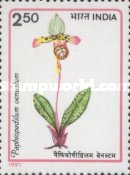 [Orchids, type AQY]