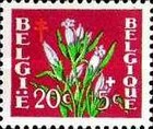 [Plants - The struggle against Tuberculosis, type PO]