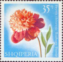 [Flowers, type ZR]