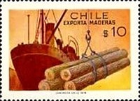[Timber Export, type XT]