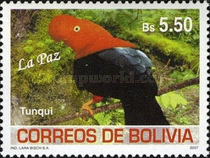 [Birds of Bolivia - La Paz, type BHT]