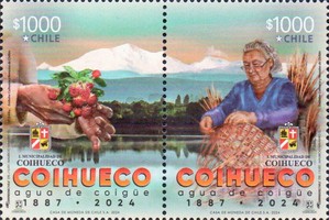 [The 175th Anniversary of the Coihueco Municipality, type ]