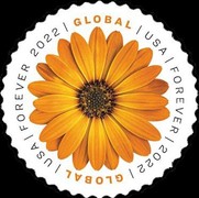 [Flowers - African Daisy, type IPR]