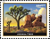 [Priority Mail - Joshua Tree, type IDA]