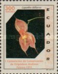 [The 1st Andean Orchid Conservation Convention, type CEZ]