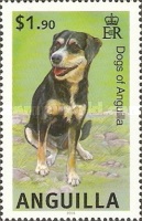 [Dogs of Anguilla, type AVP]