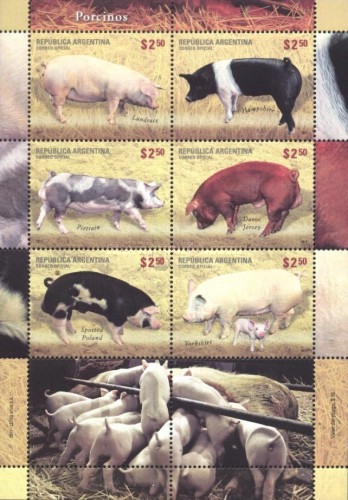 [Fauna - Pigs, type ]