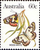 [Butterflies, type AAI]