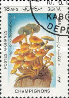 [Flora - Mushrooms, type ABW]