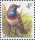 [Birds, type BMF]