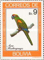 [Parrots, type YX]